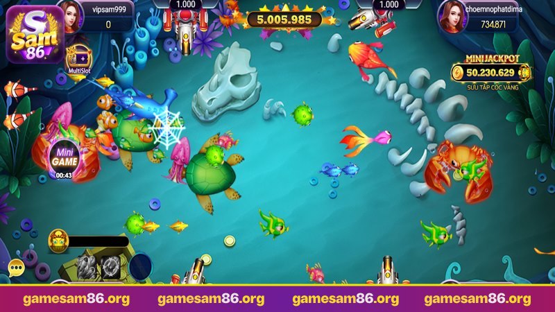 hiểu về điểm số của từng loại cá